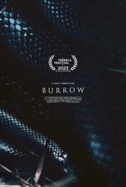 Film poster for "Burrow Queer Short Film"